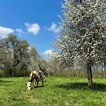 De La Poste Saint-Fraimbault-sur-Pisse