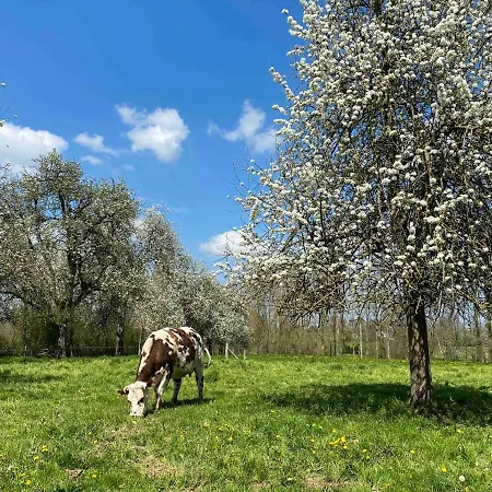 De La Poste Saint-Fraimbault-sur-Pisse