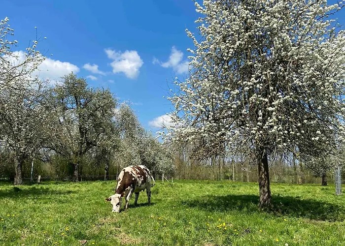 De La Poste Saint-Fraimbault-sur-Pisse